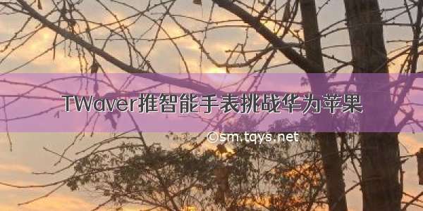 TWaver推智能手表挑战华为苹果