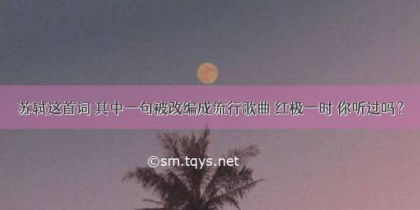 苏轼这首词 其中一句被改编成流行歌曲 红极一时 你听过吗？