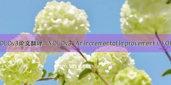 目标检测经典论文——YOLOv3论文翻译：YOLOv3: An Incremental Improvement（YOLOv3：增量式的改进）