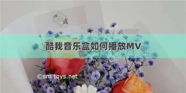 酷我音乐盒如何播放MV