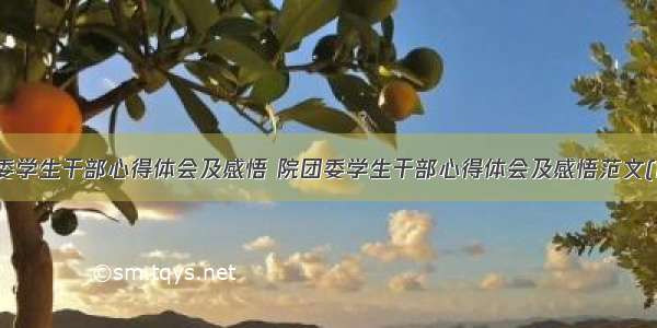 院团委学生干部心得体会及感悟 院团委学生干部心得体会及感悟范文(四篇)