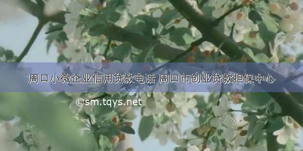 周口小微企业信用贷款电话 周口市创业贷款担保中心