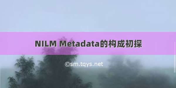 NILM Metadata的构成初探