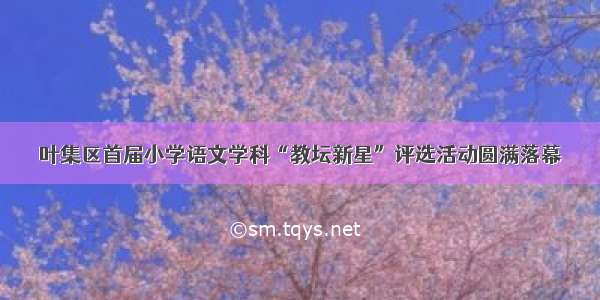 叶集区首届小学语文学科“教坛新星”评选活动圆满落幕