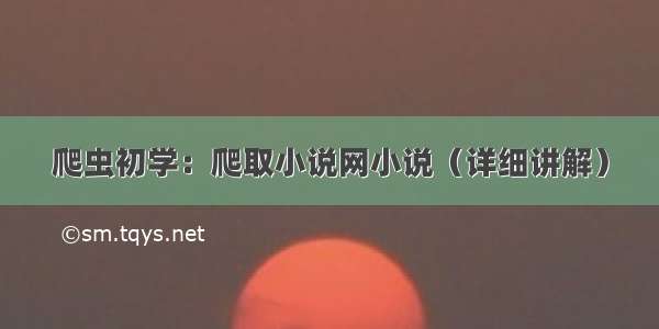 爬虫初学：爬取小说网小说（详细讲解）