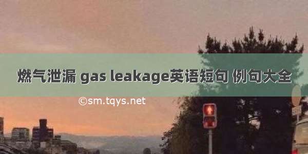 燃气泄漏 gas leakage英语短句 例句大全