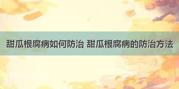 甜瓜根腐病如何防治 甜瓜根腐病的防治方法