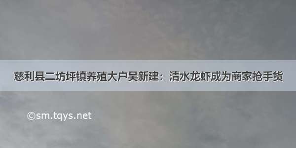 慈利县二坊坪镇养殖大户吴新建：清水龙虾成为商家抢手货