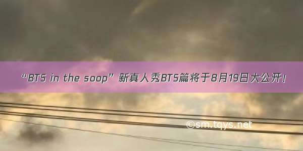 “BTS in the soop”新真人秀BTS篇将于8月19日大公开！