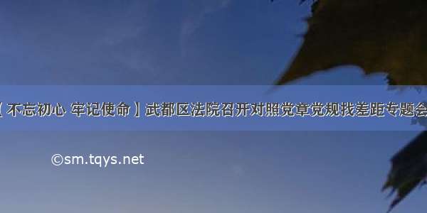 【不忘初心 牢记使命】武都区法院召开对照党章党规找差距专题会议