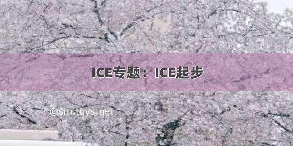 ICE专题：ICE起步