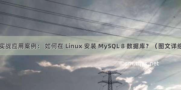 linux实战应用案例： 如何在 Linux 安装 MySQL 8 数据库？（图文详细教程）