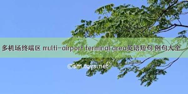 多机场终端区 multi-airport terminal area英语短句 例句大全