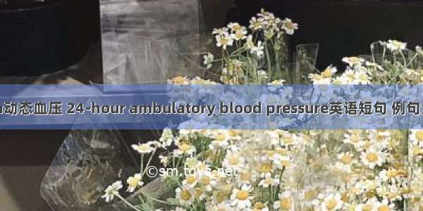 24h动态血压 24-hour ambulatory blood pressure英语短句 例句大全