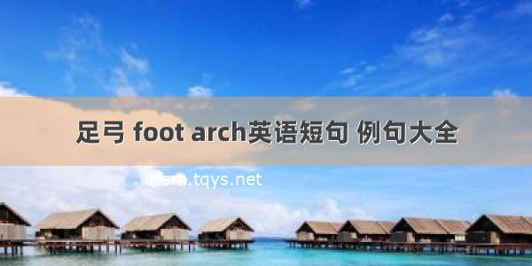 足弓 foot arch英语短句 例句大全