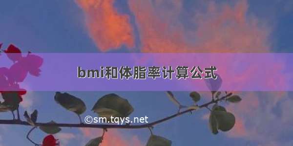 bmi和体脂率计算公式