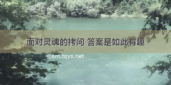 面对灵魂的拷问 答案是如此有趣