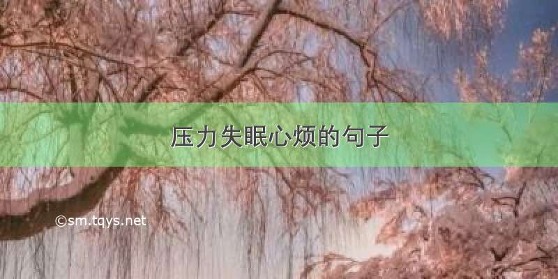 压力失眠心烦的句子