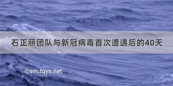 石正丽团队与新冠病毒首次遭遇后的40天