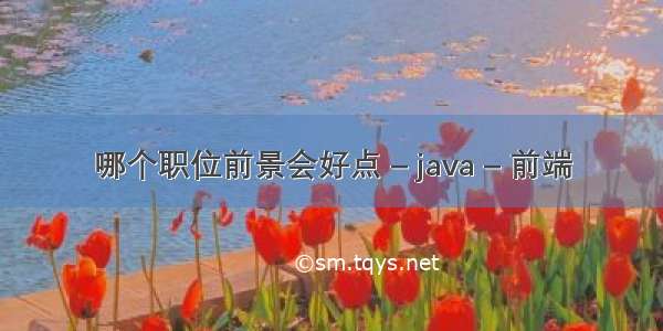 哪个职位前景会好点 – java – 前端