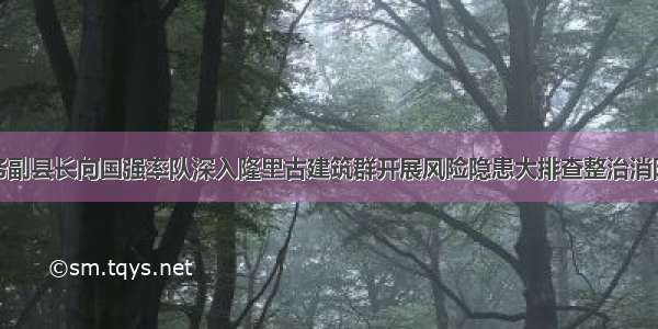 锦屏县常务副县长向国强率队深入隆里古建筑群开展风险隐患大排查整治消防安全工作