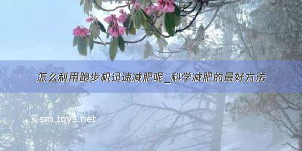 怎么利用跑步机迅速减肥呢_科学减肥的最好方法