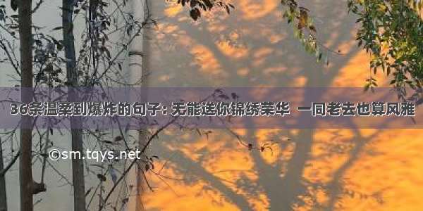 36条温柔到爆炸的句子: 无能送你锦绣荣华  一同老去也算风雅