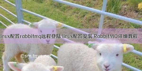 linux配置rabbitmq远程登陆 linux配置安装 RabbitMQ详细教程