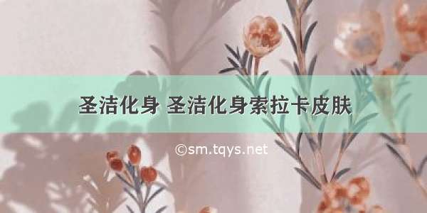 圣洁化身 圣洁化身索拉卡皮肤