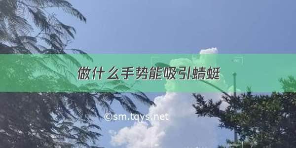 做什么手势能吸引蜻蜓