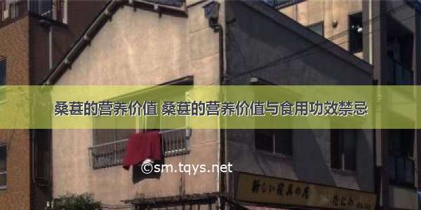 桑葚的营养价值 桑葚的营养价值与食用功效禁忌