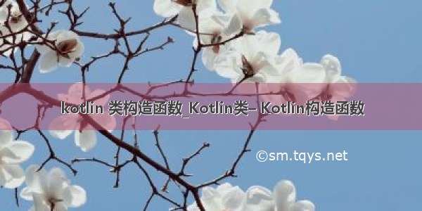 kotlin 类构造函数_Kotlin类– Kotlin构造函数