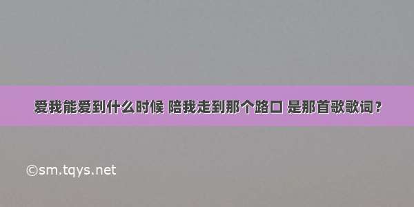 爱我能爱到什么时候 陪我走到那个路口 是那首歌歌词？