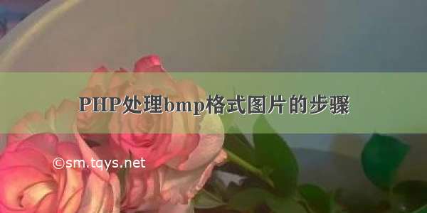 PHP处理bmp格式图片的步骤