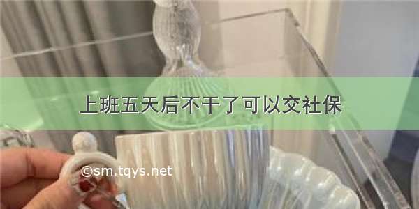 上班五天后不干了可以交社保