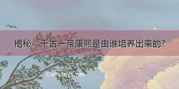 揭秘：千古一帝康熙是由谁培养出来的?