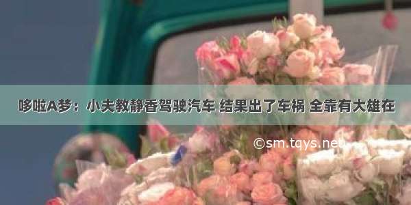 哆啦A梦：小夫教静香驾驶汽车 结果出了车祸 全靠有大雄在