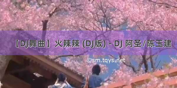 【DJ舞曲】火辣辣 (DJ版) - DJ 阿圣/陈玉建