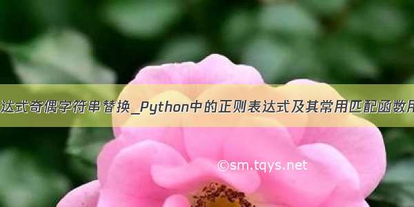 js 正则表达式奇偶字符串替换_Python中的正则表达式及其常用匹配函数用法简介...