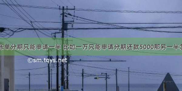 建行信用卡账单分期只能申请一半 比如一万只能申请分期还款5000那另一半怎么算？是要