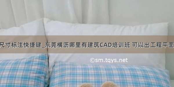 cad尺寸标注快捷键_东莞横沥哪里有建筑CAD培训班 可以出工程平面图的