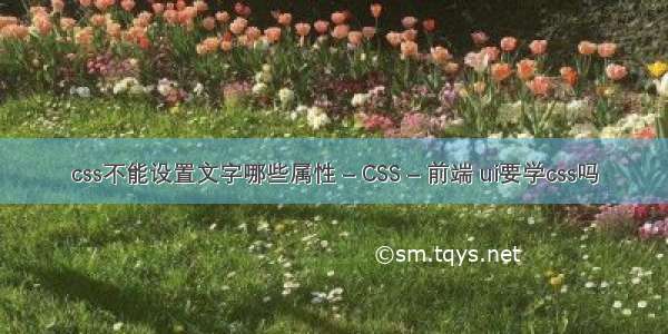 css不能设置文字哪些属性 – CSS – 前端 ui要学css吗