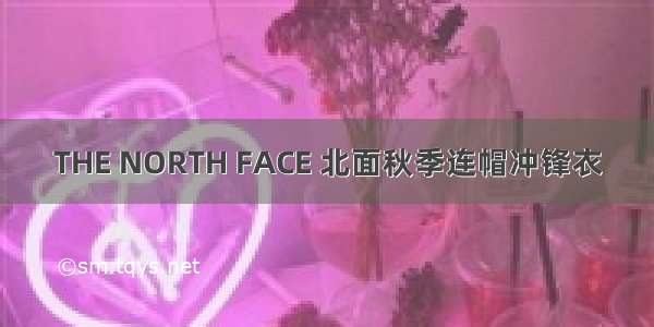 THE NORTH FACE 北面秋季连帽冲锋衣