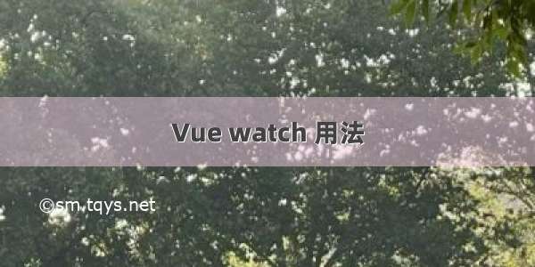 Vue watch 用法