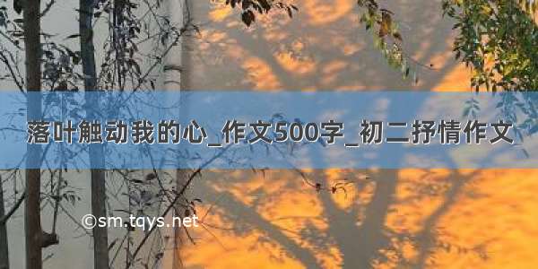 落叶触动我的心_作文500字_初二抒情作文