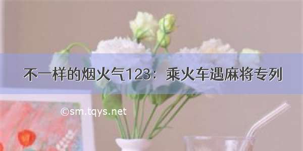 不一样的烟火气123：乘火车遇麻将专列