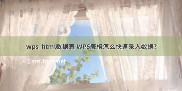 wps  html数据表 WPS表格怎么快速录入数据?