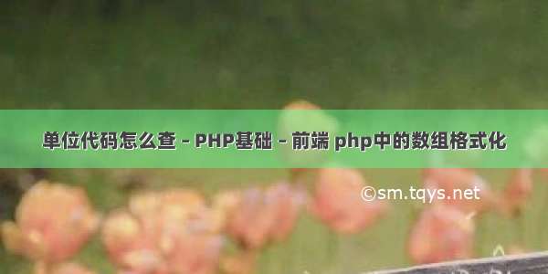 单位代码怎么查 – PHP基础 – 前端 php中的数组格式化