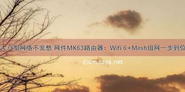 大户型网络不发愁 网件MK63路由器：Wifi 6+Mesh组网一步到位