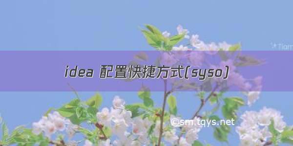 idea 配置快捷方式(syso)